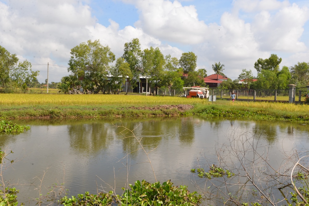 Reviving Rice-Field Fisheries in Cambodia  